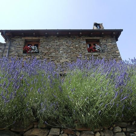 Agriturismo La Fontana Dell'Olmo Otel Molini di Triora Dış mekan fotoğraf