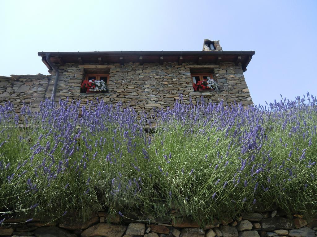 Agriturismo La Fontana Dell'Olmo Otel Molini di Triora Dış mekan fotoğraf