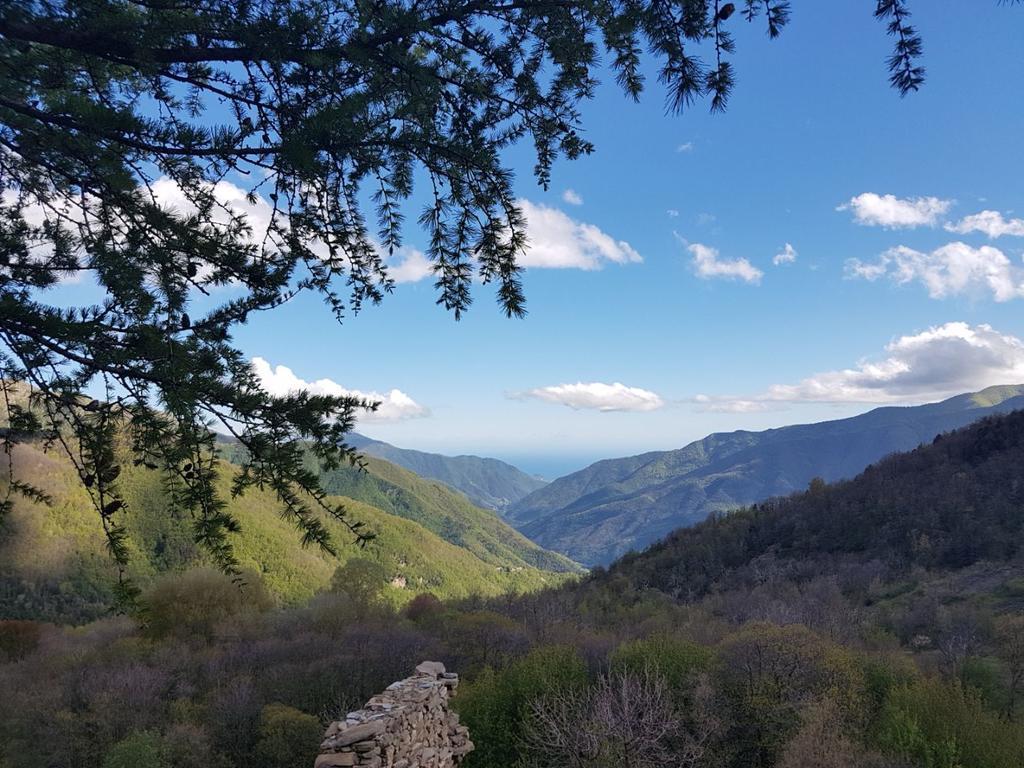 Agriturismo La Fontana Dell'Olmo Otel Molini di Triora Dış mekan fotoğraf